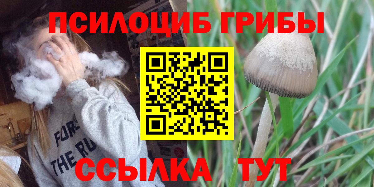 Псилоцибиновые грибы мухоморы Дмитров
